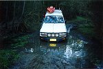 Cruiser on a dark muddy trail