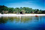 The sandy beach of Lake Jasper