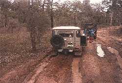 Julimar State Forrest 10 years ago