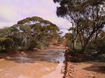 The Lake Johnson Track (river) after rain!