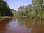 Water hole at Wittenoom