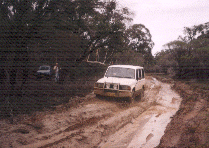 Jackaroo getting dirty!