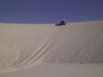 Dune near Sandy Cove