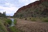 Small herds graze near the water holes IMG_3121.jpg