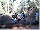 Fallen tress limiting track access, clearing to open tracks up!